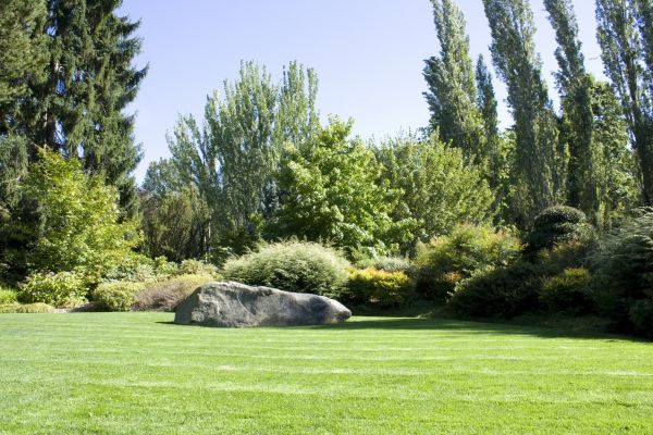 Yard Enlargement in Concord