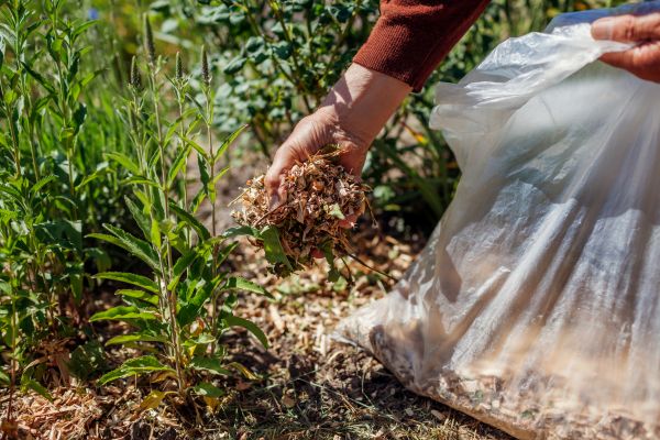 Wood Mulch Installation in Concord