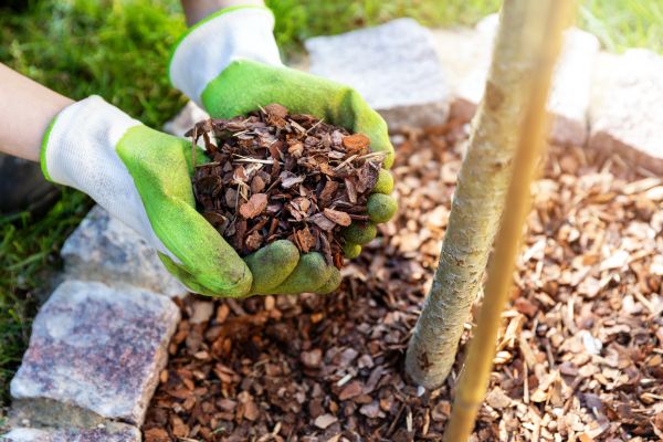Tree Bark Delivery in Concord