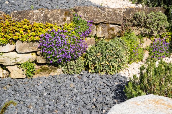 Landscaping Rocks Installation in Concord