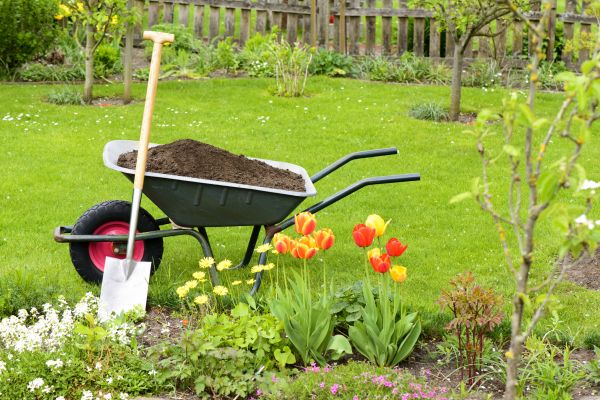 Spring Yard Renovation in Concord