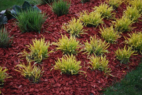 Red Mulch Installation in Concord