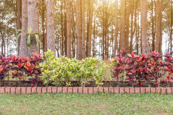 Small Garden Landscaping in Concord