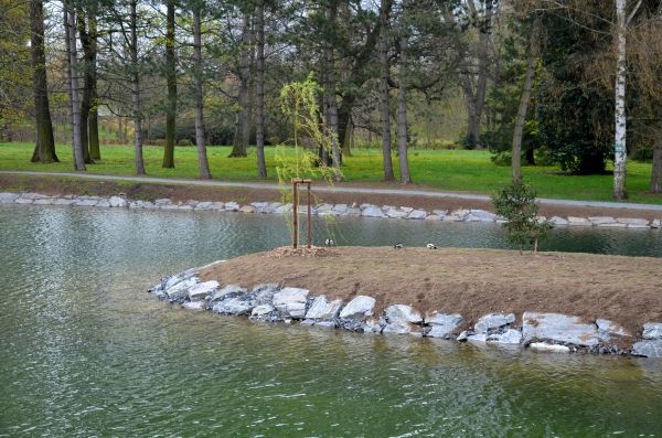 Pond Landscaping Service in Concord