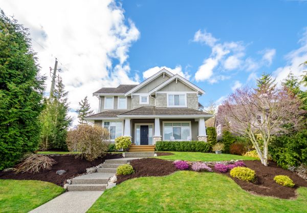 Landscaping Replacement in Concord
