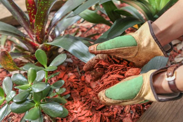 Residential Mulching in Concord