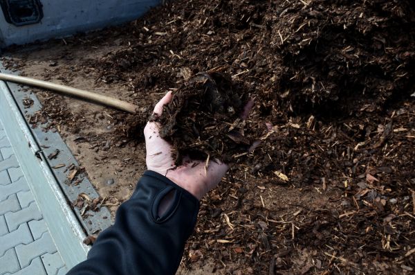 Condo Mulching in Concord