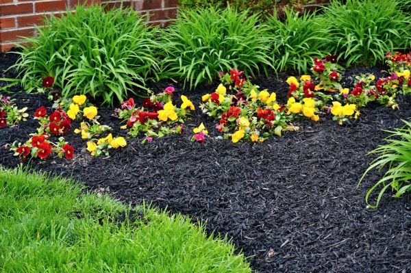 Apartment Mulching in Concord