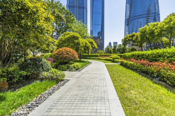 Commercial Landscaping in Concord
